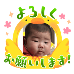 Hima_20230327231135