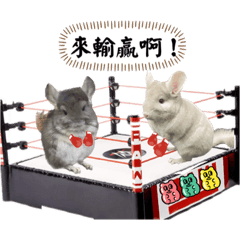 屁孩雙寶