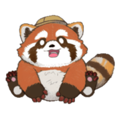 Red Pandas 01 - red pandas or racoons