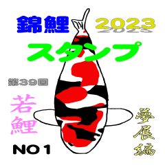 2023若鯉品評会夢展編NO1