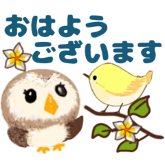 Fluffy owl honorific