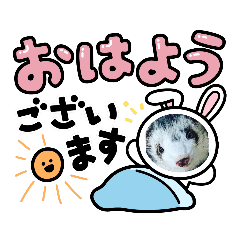 HIKARI_20230326232008