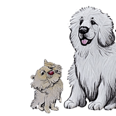 Great Pyrenees dogs Family 2