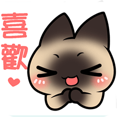 Siamese cat - Kimi Part 6.2