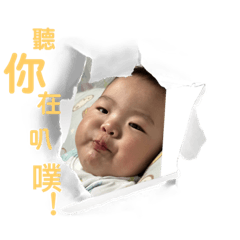 榮榮的生活日常