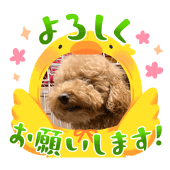 yuka_20230328130624