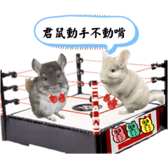 QQ小屁孩