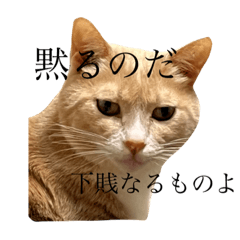 omochi_20230328132614