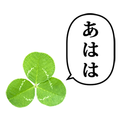 clover leaf 7