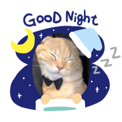 Sayuri_20230328145245