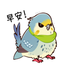 Cute parrot 001