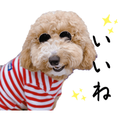 Hikari_20230328164401