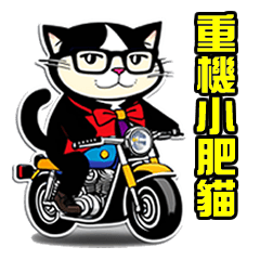 heavy motorcycle cat