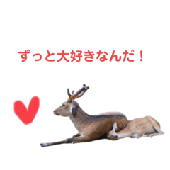 奈良の鹿さん勢揃いスタンプ