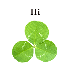clover leaf 5 English