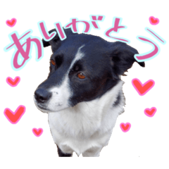Eririn_20230328201209