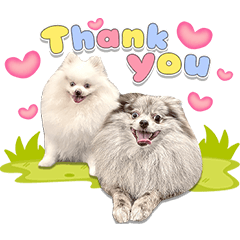 CleoTofuThepom