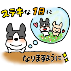 French Bulldog named Kotatsu and Potofu