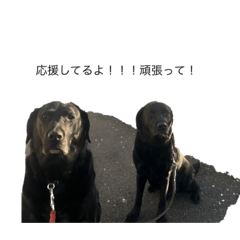 kan.kuro_20230329094127