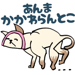 大阪弁の保護猫　かまぼこ
