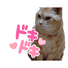 suzu_20230328231912