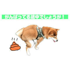 yuka_20230328222148