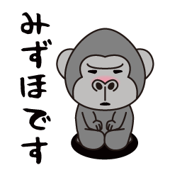 Interesting sticker gorilla(Mizuho)