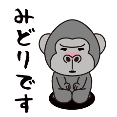 Interesting sticker gorilla(Midori)