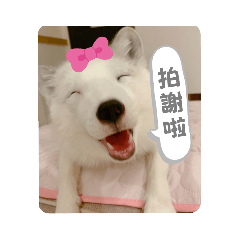 林琪琪(๑•̀ω•́๑)