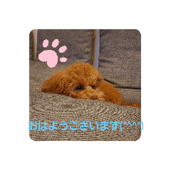 hana_20230329065923