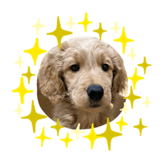 chisa_20230329125028