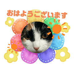 SAKURA_20230329143447