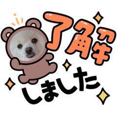yuka_20230329144224
