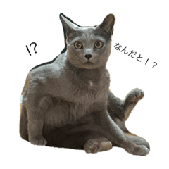 I made stamps of my favorite people