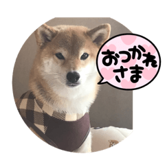 yun_20230329151207