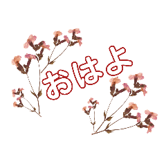 WhitePearl【シンプルな花たち】挨拶·言葉