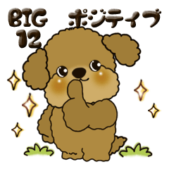 【Big】プードル犬 12『ポジティブ』