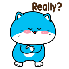Chubby blue cat en