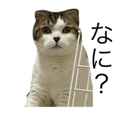 hiyori_20230329222844