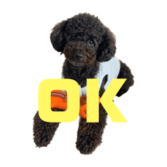 Sunny_20230329233834