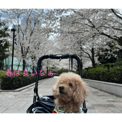 kana_20230329235241