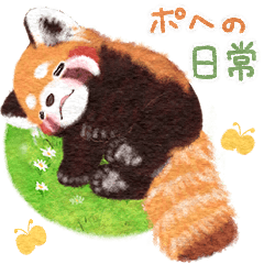 Red panda Pohe / Spring 2023