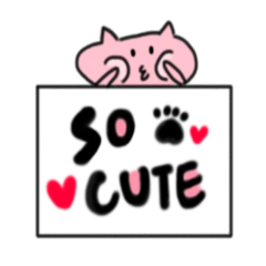ALI__Cute Cat (daily words)