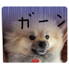 saori_20230329155553