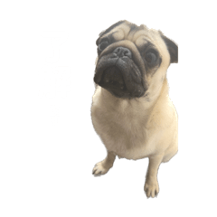 omochi_20230329154341