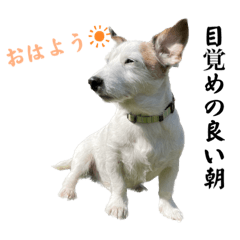 no_20230329161418