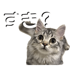 HANA_20230329162952