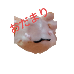 aoi_20230330073734