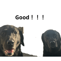 kan.kuro_20230330153309