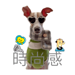 LLLG
